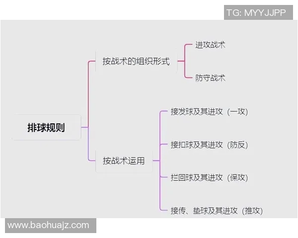 排球焦点：成都排球队的战术探讨